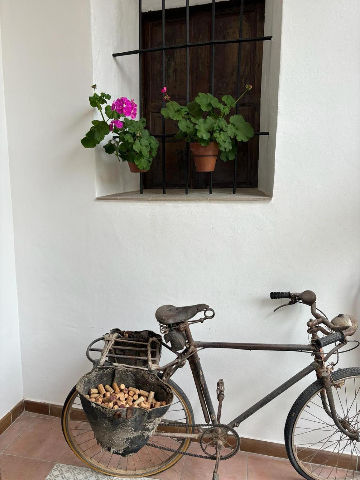 Art Boutique La Casona De Las Flores اوندارا المظهر الخارجي الصورة